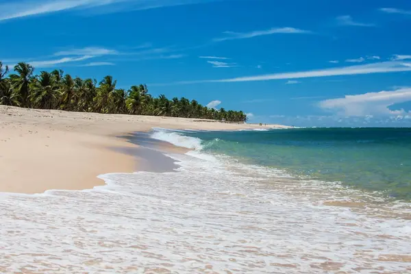 maceio-ezgif.com-resize